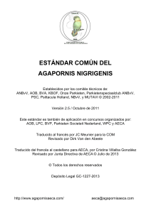 ESTÁNDAR COMÚN DEL AGAPORNIS NIGRIGENIS