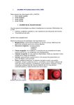 Examen oftalmológico en el niño - Bienvenido a Oftalmología Privada