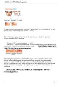 CIRUGIA DE PARPADOS (Blefaroplastia)