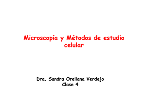 Microscopía y Métodos de estudio celular
