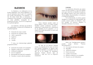 blefaritis - Consultorio Oftalmológico y Microcirugía Ocular Figueras