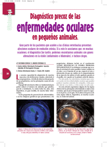 Diagnóstico precoz de las enfermedades oculares en pequeños