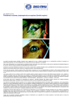Problemas oculares y leptospirosis en equinos (Uveítis equina )