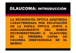 glaucoma: introducción