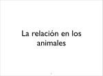 La relación en los animales I