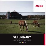 veterinary - Motic Europe