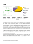 La Constitución reconoce y garantiza la libertad de conciencia y de