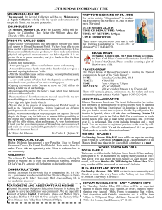 27th sunday in ordinary time