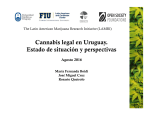 Cannabis legal en Uruguay. Estado de situación y perspectivas