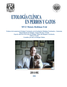 Etologia clínica en perros y gatos