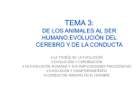 tema 3: de los animales al ser humano:evolución del cerebro y de la