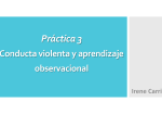 Práctica 3. Aprendizaje observacional y conducta violenta_vdef.pptx