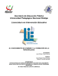 Secretaría de Educación Pública Universidad - UPN