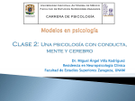 Dr. Miguel Ángel Villa Rodríguez Residencia en Neuropsicología