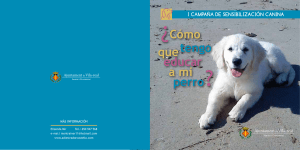 ¿Cómo tengo educar que a mi perro - Ajuntament de Vila-real
