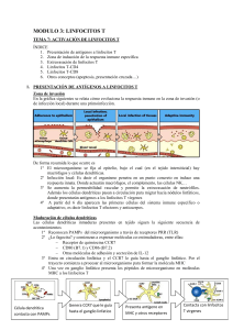 MODULO 3: LINFOCITOS T