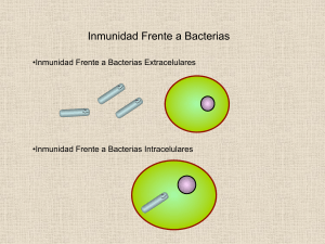 Inmunidad Frente a Bacterias