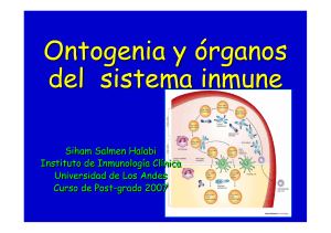 Ontogenia y organos del sistema inmunológico