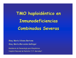 TMO haploidéntico en Inmunodeficiencias Combinadas Severas