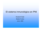 El sistema inmunológico en PNI