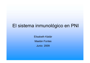 El sistema inmunológico en PNI