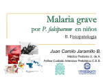 Malaria grave P. falciparum