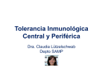 Tolerancia Inmunológica Central y Periférica