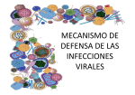 mecanismo de defensa de las infecciones virales