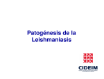 Patogénesis de la Leishmaniasis