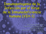 Tema 13: Inmunopatogenia de la Infección por el Virus de la