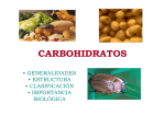 carbohidratos - Medicina Univalle 2014