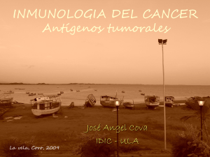 INMUNOLOGIA DEL CANCER Antígenos tumorales