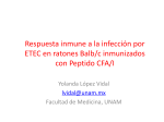 Respuesta inmune a la infección por ETEC en ratones Balb/c