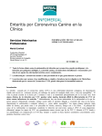 Enteritis por Coronavirus Canino en la Clínica