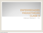 ENFERMEDADES PARASITARIAS CLASE 4