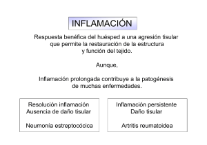 I10-12.Inflamación Med