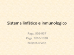 Sistema linfático e inmunologico