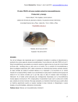 17 El ratón CBA/N xid como modelo animal de inmunodeficiencia