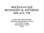 moleculas que reconocen al antigeno: bcr-acs, tcr