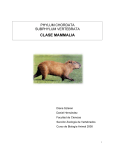 clase mammalia - Sección Zoología Vertebrados