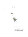 Practico 09 y 10 - Aves - Sección Zoología Vertebrados