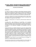 Documento de sustentación - Cumbre Judicial Iberoamericana