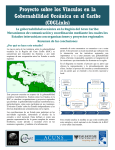 Proyecto sobre los Vínculos en la Gobernabilidad