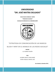 estrategia de comunicación de las marcas blush y mint en el manejo