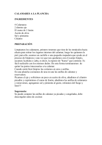 CALAMARES A LA PLANCHA INGREDIENTES 4 Calamares 2