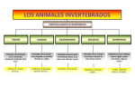 LOS ANIMALES INVERTEBRADOS