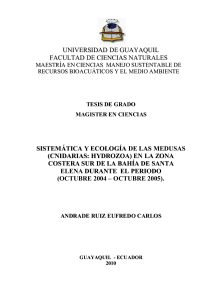 TESIS MEDUSAS DE SANTA ELENA 2004-2005