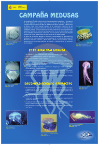 Campaña medusas