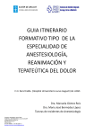 guia itinerario formativo tipo de la especialidad de anestesiología