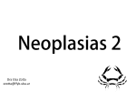 Neoplasias 2